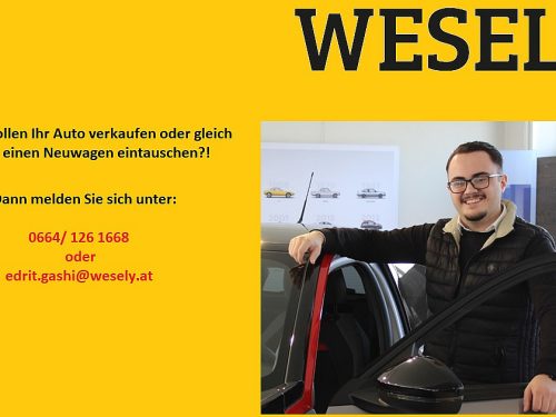 186699_1406595909840_slide bei WALTER WESELY GmbH in 